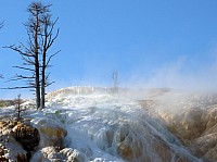 Yellowstone Mammoth Hotsprings (19).JPG
